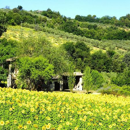 Appartamenti Verde Collina Umbra Bevagna Exterior foto