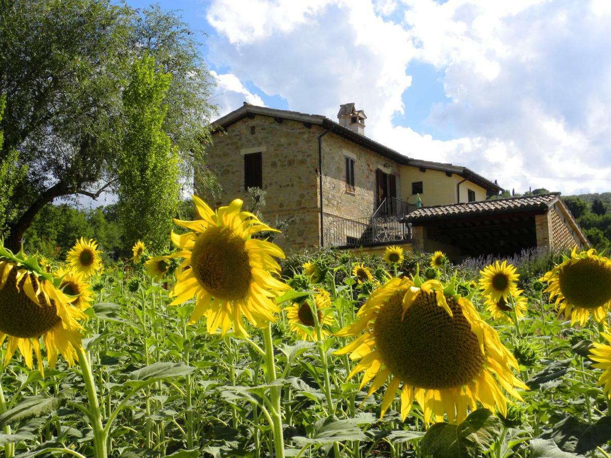 Appartamenti Verde Collina Umbra Bevagna Exterior foto