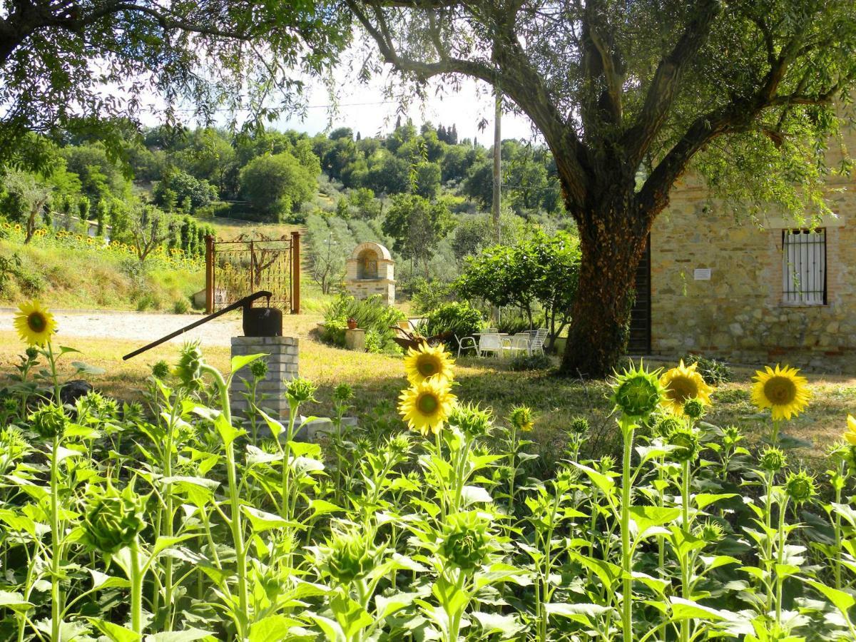 Appartamenti Verde Collina Umbra Bevagna Exterior foto