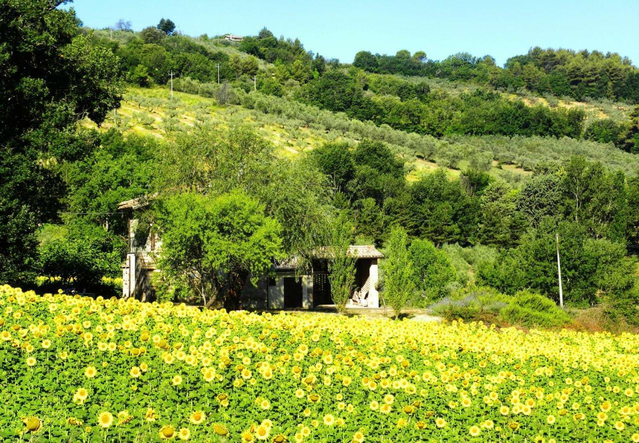 Appartamenti Verde Collina Umbra Bevagna Exterior foto