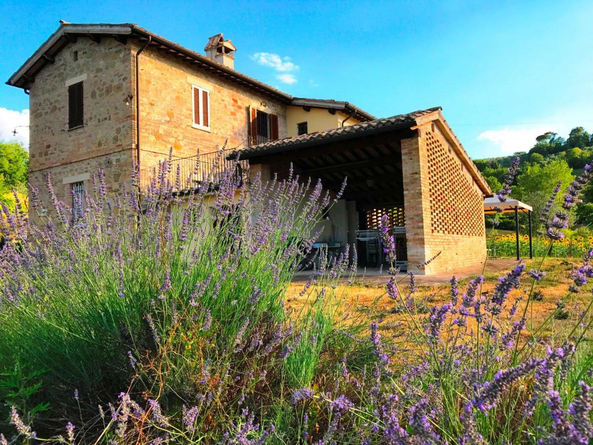 Appartamenti Verde Collina Umbra Bevagna Exterior foto