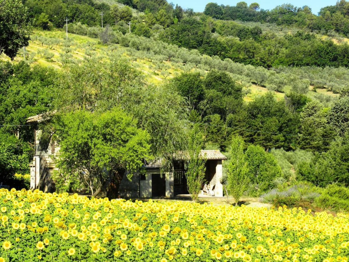 Appartamenti Verde Collina Umbra Bevagna Exterior foto
