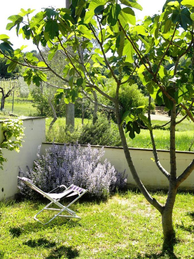 Appartamenti Verde Collina Umbra Bevagna Exterior foto